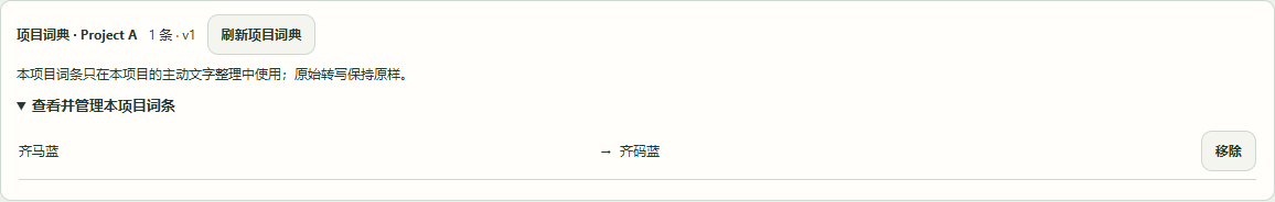 项目专属词典，确认后仅在本项目整理时使用