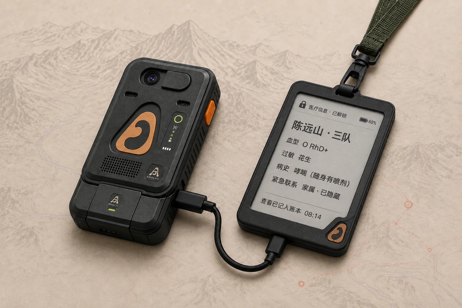 授权后查看医疗信息的概念界面,全部为示例数据